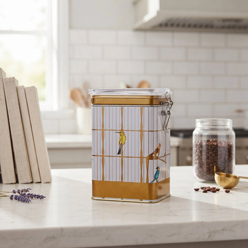 Maria Roma Bird Cage Rectangular Metal Storage Tin with Clear Wire-Clasp Lid, 1 L