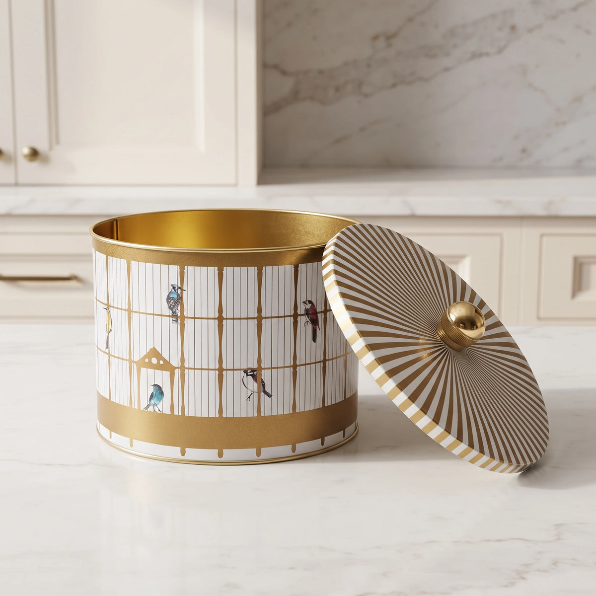 Maria Roma Bird Cage Round Metal Storage Tin with Knob Lid, 2.9 L