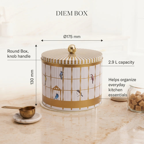 Maria Roma Bird Cage Round Metal Storage Tin with Knob Lid, 2.9 L